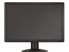 Computer Monitor