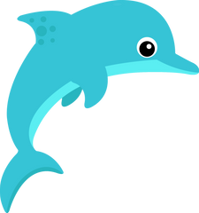 Dolphin Aqua