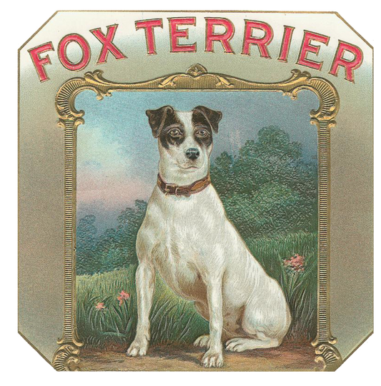Fox Terrier Vintage Dog