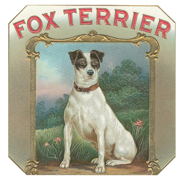 Fox Terrier Vintage Dog