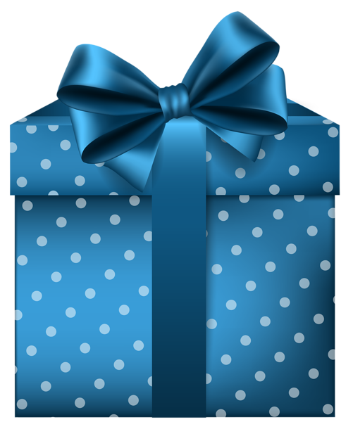 20 Blue Presents - Gifts - Gift Wrapped Bundle