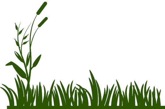 Green Grass - landscape image