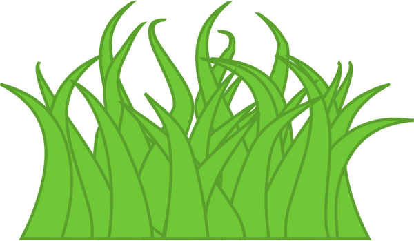 Grass