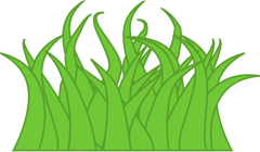 Grass