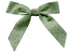 Green ribbon Bow