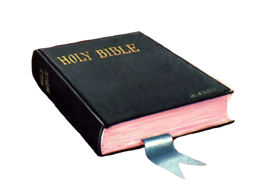 Holy Bible - Small