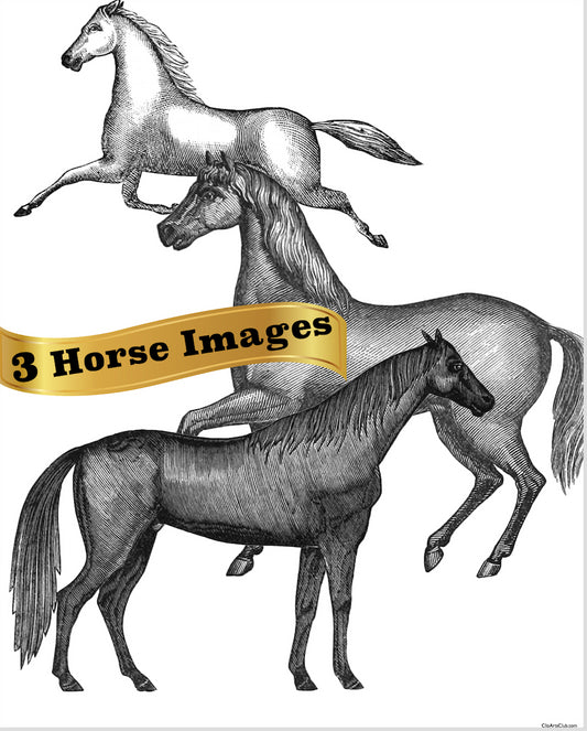 3 Horse Images Vintage Horses - 3 separate images