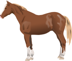 Beautiful Brown Horse #7