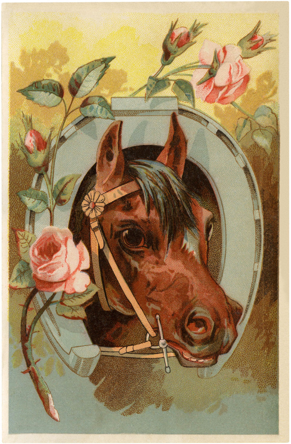 Vintage Horse & Horseshoe 8X10 Print & Images