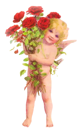 adorable litte image of Cupid with red roses