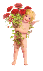 adorable litte image of Cupid with red roses