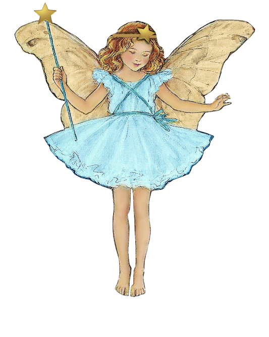Fairy Turquoise Dress & Natural Wings
