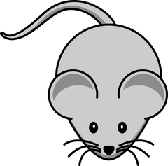 Mouse gray