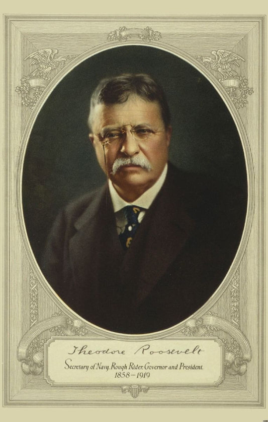 President Roosevelt Portrait