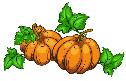 Pumpkin Patch  - Fall or Thanksgiving Pumpkins - Transparent Back