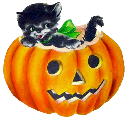Two Pumpkins With Black Kitty