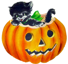 Two Pumpkins With Black Kitty