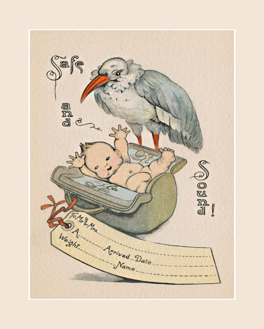 Safe & Sound Stork Delivery New Baby Printable Nursery Print 8x10 ready to frame