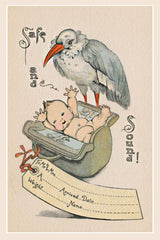Safe & Sound Stork Delivery New Baby Postcard