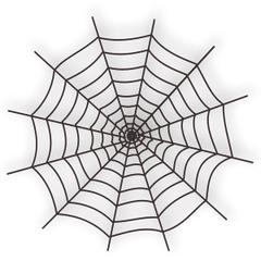 Spiders & Spider web - cobweb bundle