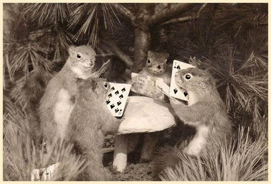 Squirrels Playing Poker - Vintage Photo