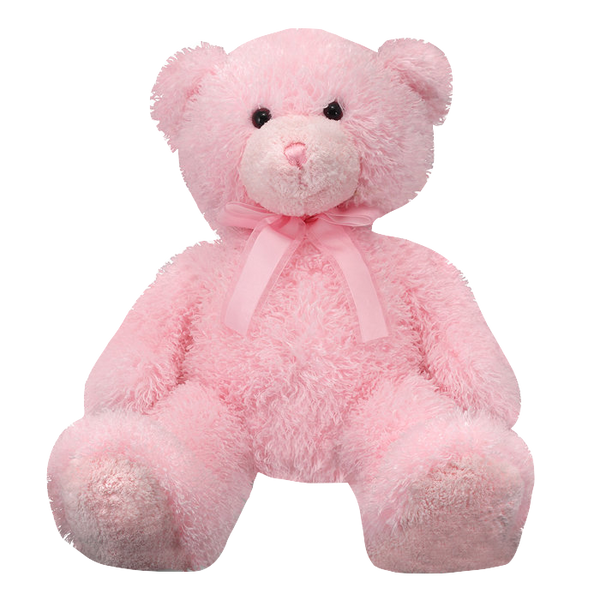 Cute Teddy Bear Bundle