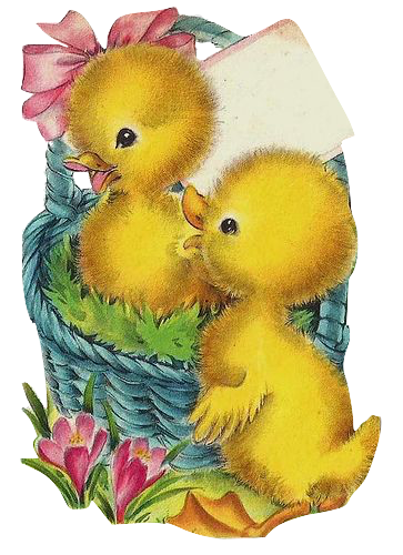 Two Baby Chicks-Ducks in a Basket