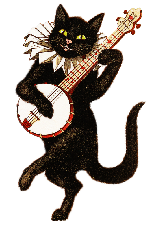 Musical Dancing Black Cat