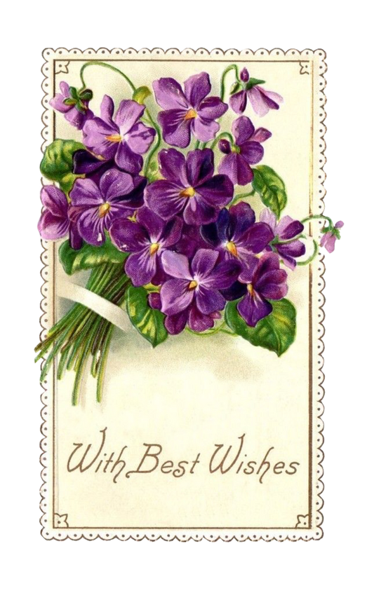 Violets Best Wishes Scalloped edges pretty card element