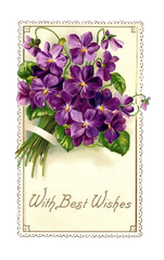 Violets Best Wishes Scalloped edges pretty card element