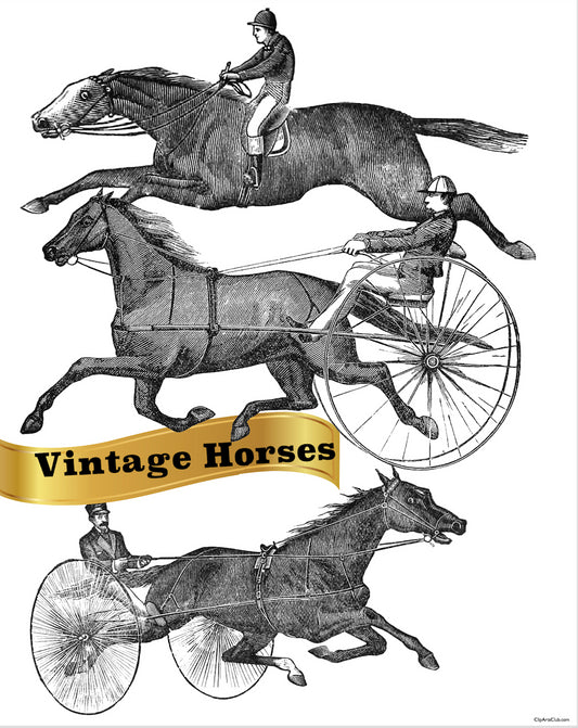 3 Vintage Horse Images  Horse & Carriage & Race Horse 3 separate images