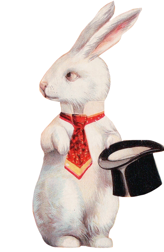 Mr. White Bunny Rabbit with his Top Hat