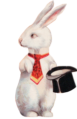 Mr. White Bunny Rabbit with his Top Hat