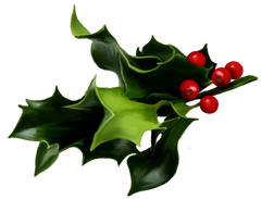 Christmas Ivy Bundle - Beautiful Holly - Ivy - Mistletoe Clip Art