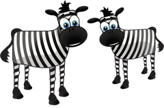 Zebra - Two Funny Zebra's
